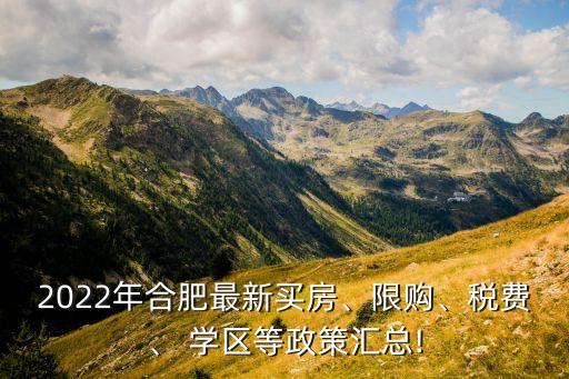 2022年合肥最新买房、限购、税费、 学区等政策汇总!