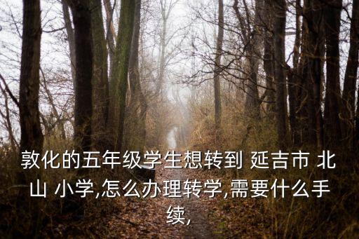 敦化的五年级学生想转到 延吉市 北山 小学,怎么办理转学,需要什么手续,