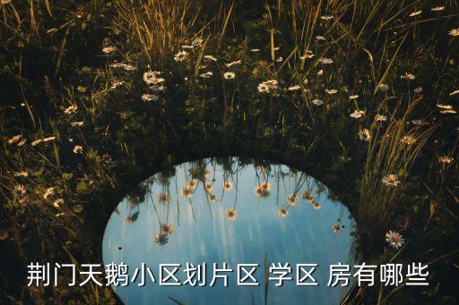 荆门天鹅小区划片区 学区 房有哪些