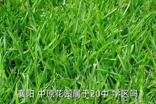 襄阳 中原花园属于20中 学区吗