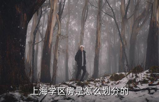 上海花园是什么学区房房，上海闵行区七莘路茂盛花园什么学区