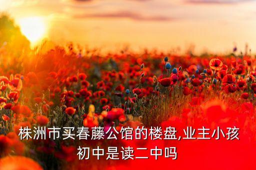 株洲什么房算学区房吗,学区房满一年按什么时间算