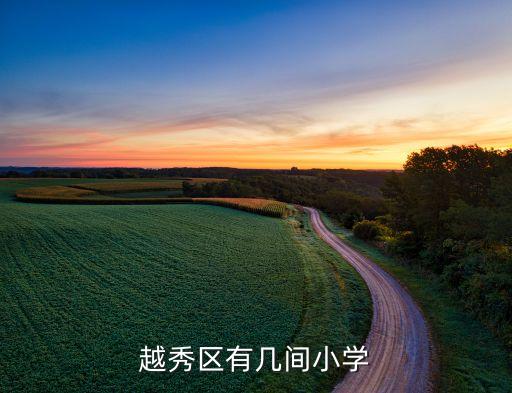 越秀区有几间小学