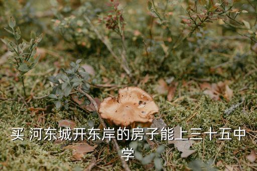 买 河东城开东岸的房子能上三十五中学