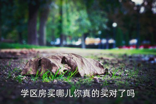 学区房买哪儿你真的买对了吗