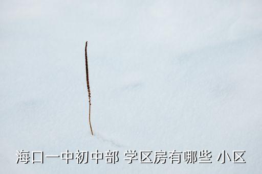 海口一中初中部 学区房有哪些 小区
