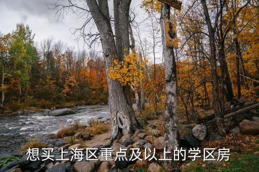 想买上海区重点及以上的学区房