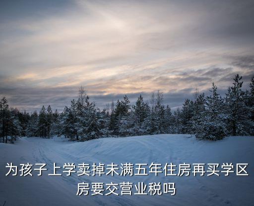 买学区房要交什么税，学区房便宜卖给我需要交税吗