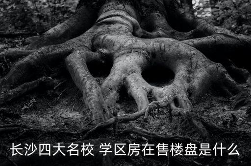 长沙四大名校 学区房在售楼盘是什么