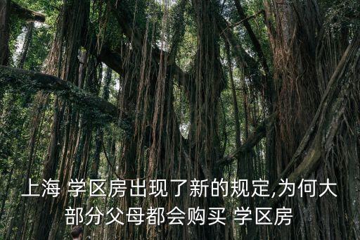 上海 学区房出现了新的规定,为何大部分父母都会购买 学区房