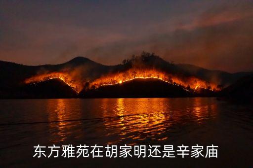 东方雅苑在胡家明还是辛家庙
