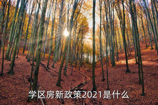 学区房新政策2021是什么