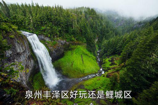 泉州丰泽区好玩还是鲤城区