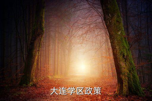 大连学区政策