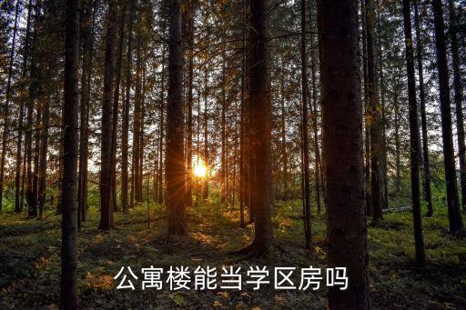 公寓楼能当学区房吗