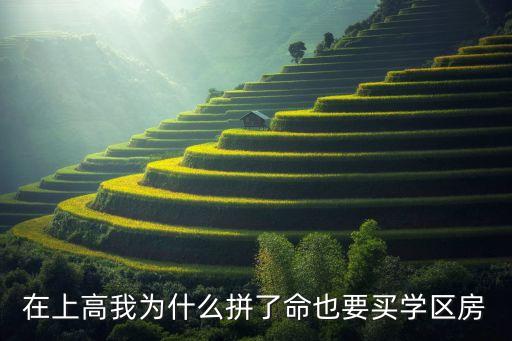 在上高我为什么拼了命也要买学区房