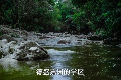 德盛嘉园的学区