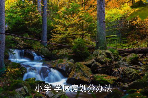 小学 学区房划分办法