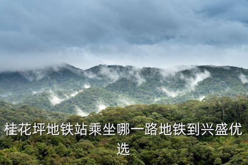 桂花坪地铁站乘坐哪一路地铁到兴盛优选