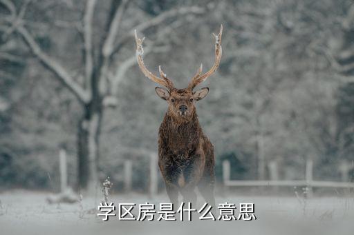学区房是什么意思