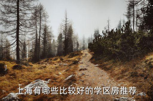 上海有哪些比较好的学区房推荐