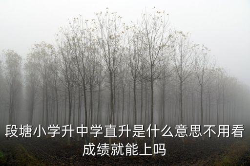 学区房 直升什么意思，段塘小学升中学直升是什么意思不用看成绩就能上吗