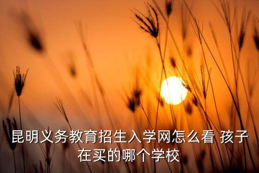 昆明义务教育招生入学网怎么看 孩子在买的哪个学校
