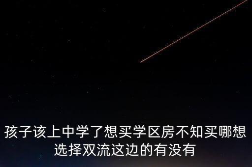 孩子该上中学了想买学区房不知买哪想选择双流这边的有没有