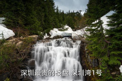 深圳公寓学区房有哪些,深圳g公寓