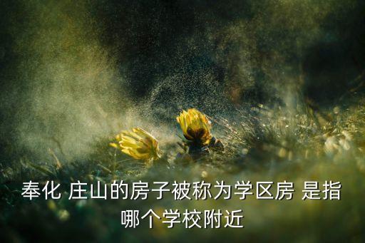 浔庄属于什么学区房，扬州学区房划分
