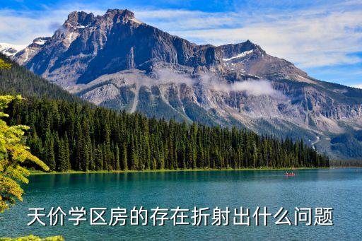 天价学区房的存在折射出什么问题