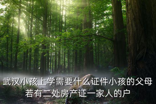武汉小孩上学需要什么证件小孩的父母若有二处房产证一家人的户
