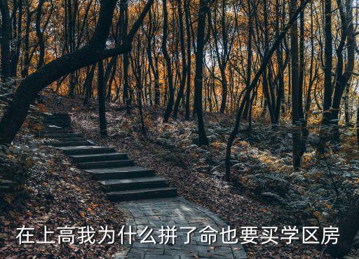 在上高我为什么拼了命也要买学区房