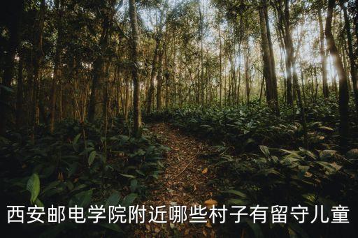 西安邮电学院附近哪些村子有留守儿童