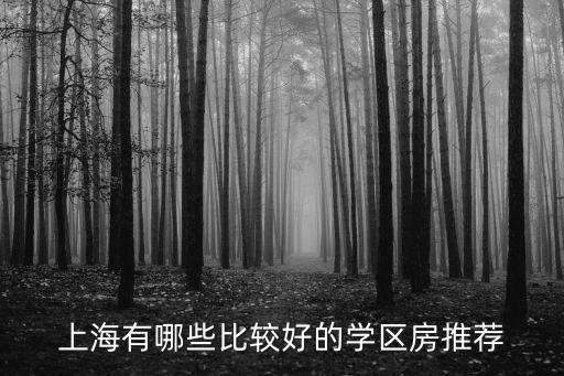 上海有哪些比较好的学区房推荐