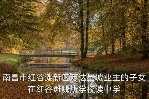 红谷新城有什么学区房，住在南昌红谷新城应该去哪个小学上学