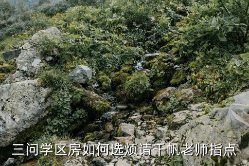 三问学区房如何选烦请千帆老师指点
