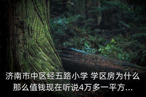 学区房54平米多少钱,北京5平米学区房