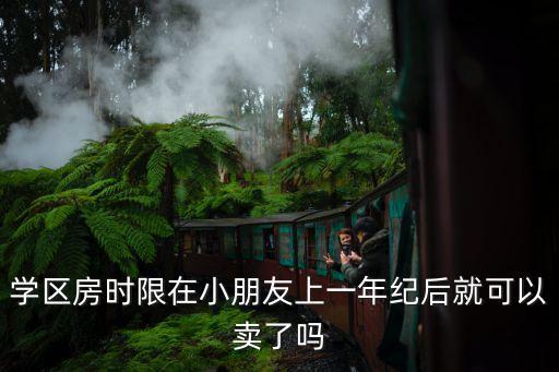 学区房时限在小朋友上一年纪后就可以卖了吗