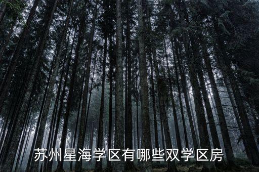 苏州星海学区有哪些双学区房