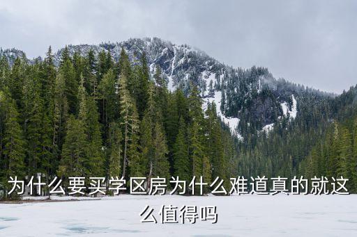 为什么要买学区房为什么难道真的就这么值得吗