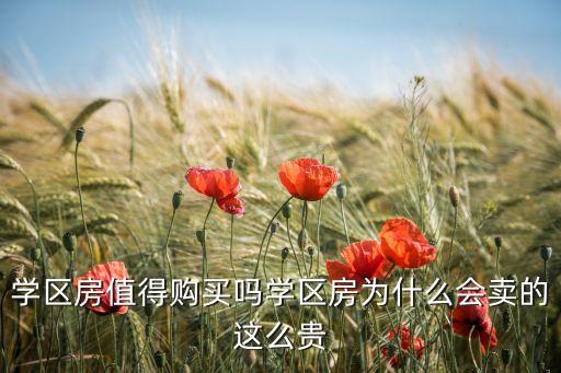 学区房为什么比中学贵，学区房为什么那么贵是房价的原因还是教育的原因zxcnhancom