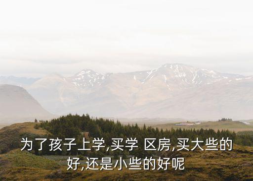 为了孩子上学,买学 区房,买大些的好,还是小些的好呢