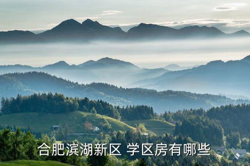 学校学区房都有哪些,不是学区房就不能上这个学校吗