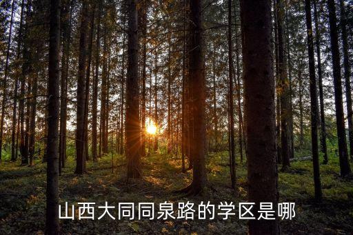 大同路属于什么学区房，郑州大同路是属于东区还是西区