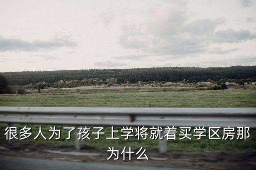为什么孩子都要买学区房，很多人为了孩子上学将就着买学区房那为什么