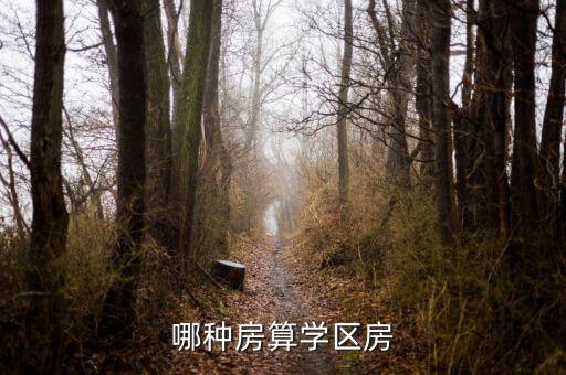 哪种房算学区房