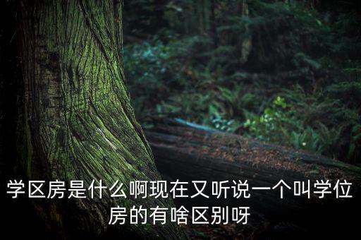 学区房是什么啊现在又听说一个叫学位房的有啥区别呀