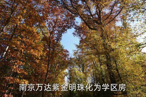 明珠学区房是什么，关于明珠学区房咨询几个问题