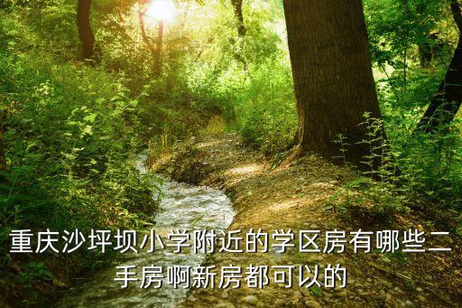 重庆沙坪坝小学附近的学区房有哪些二手房啊新房都可以的